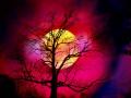 lune rouge